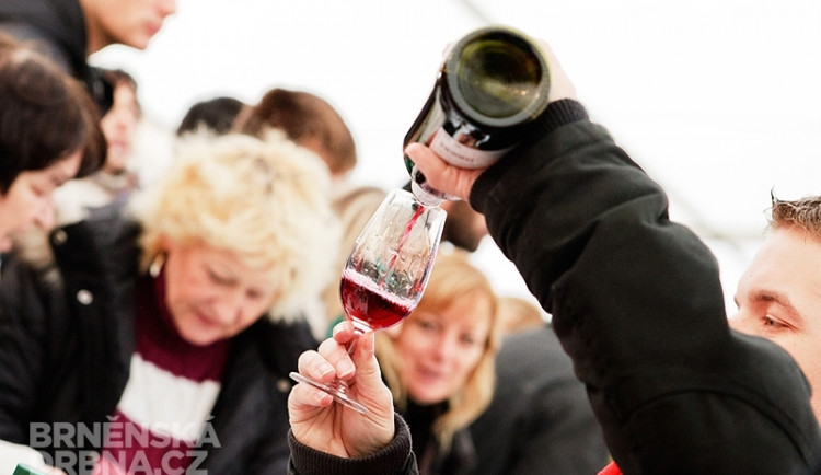 Ilustrační foto, foto: Brněnská Drbna, Jiří Prýgl