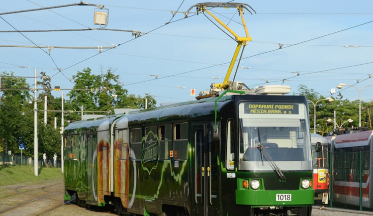 Šalina Pub, foto: DPMB