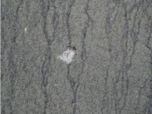 Muž střílel u zastávky Babická, foto: Policie ČR