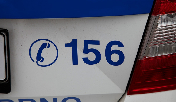 Ilustrační foto, foto: Brněnská Drbna, David Zouhar