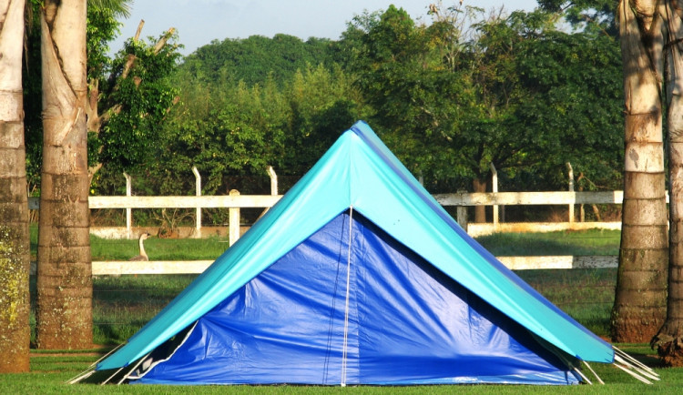 Ilustrační foto, foto: freeimages.com