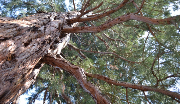 Ilustrační foto, foto: freeimages.com