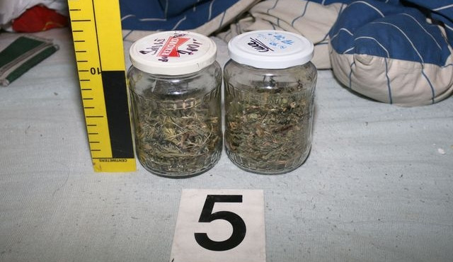 Policisté zajistili marihuanu, foto: Policie ČR