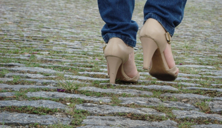 Ilustrační foto, foto: freeimages.com