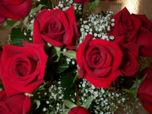 Nejvyšší soud zrušil rozsudek, který ukládal muži předat kytici růží s omluvou