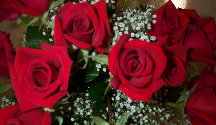 Ilustrační foto, foto: SXC.hu