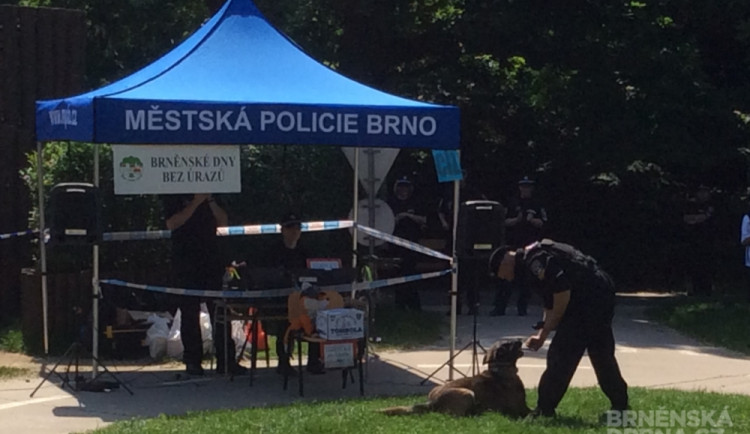 Strážníci předvedli práci psovodů, foto: Brněnská Drbna, David Zouhar