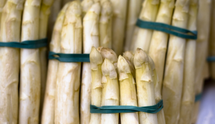 Chřest, foto: sxc.hu