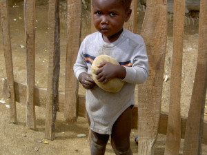Lidé mohou poslat hračky dětem na Haiti