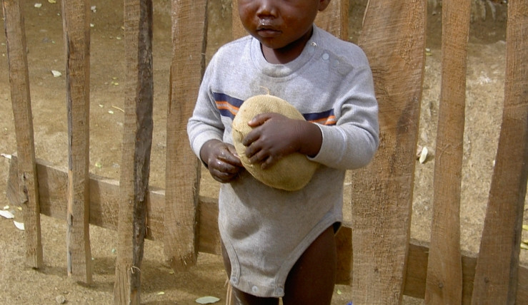 Ilustrační foto, foto: SXC.hu