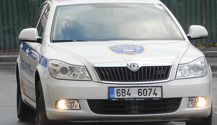 Městská policie, ilustrančí foto