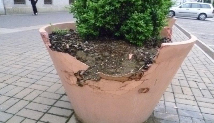 Jaro po budějcku aneb Lidská hloupost nezná mezí