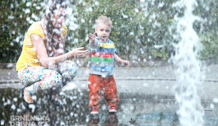 Ilustrační foto, foto: Brněnská Drbna, Miroslav Toman