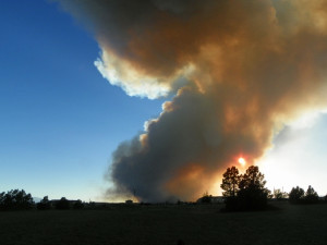 U Blanska hoří les, hasič budou plameny likvidovat z vrtulníku