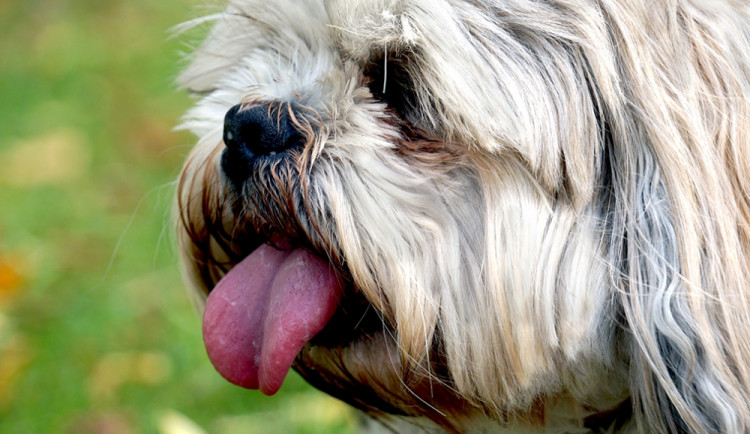 Ilustrační foto, foto: SXC.hu