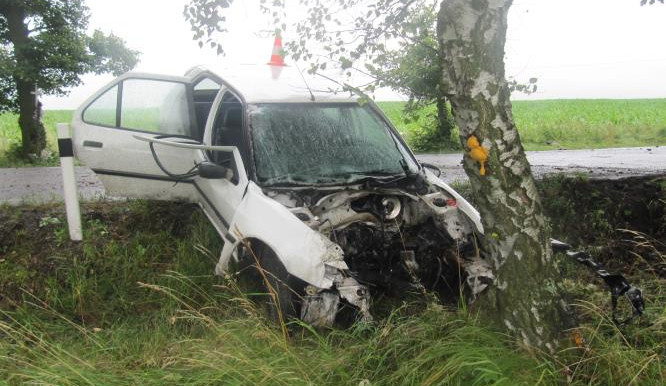 Mokrá silnice, předjíždění, náraz. U Srubce zahynul řidič