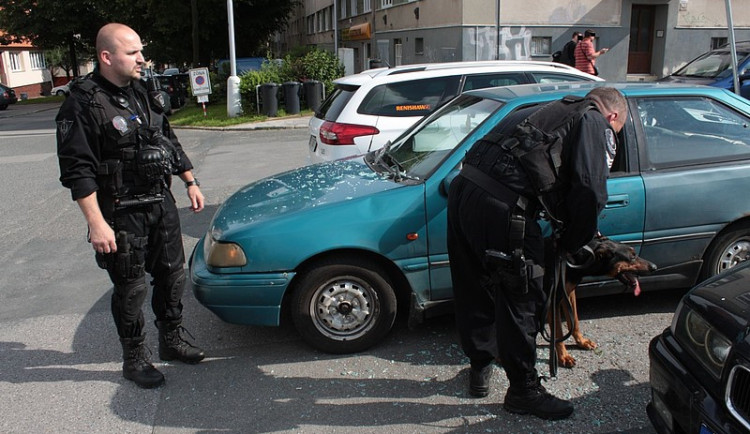 Zoufalý kříženec Dobrmana v červnu vyrazil okénko auta, strážníci jej museli uvolnit z vodítka. Foto: Městská policie Brno