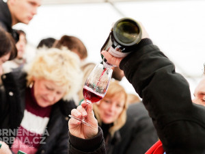 Celníci zajistili na jihu Moravy 70.000 litrů vína bez dokladů