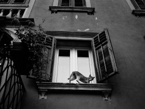 Jedna z fotografií, které si můžete pořídit a přispět tak na dobrou věc. Foto: Richard Procházka, Jiří Pařízek