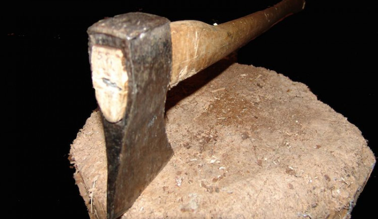 Foto: Hyena, Wikipedia