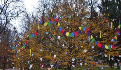 Luzanecky rozkvetlý strom