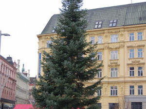 Vánoční strom už vévodí náměstí Svobody