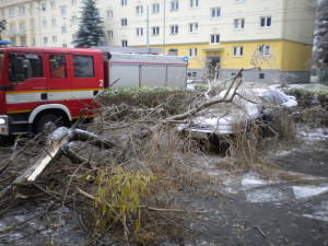 Odstraňování škod