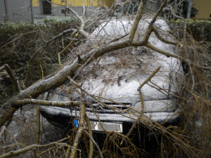 Odstraňování škod