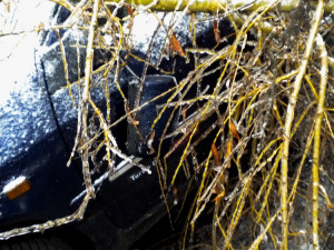 Odstraňování škod