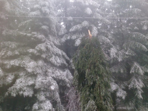 Odstraňování škod