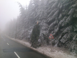 Odstraňování škod