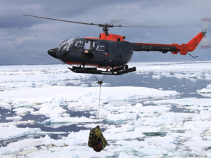 Vědci se v Antarktidě tentokrát zaměří na tučňáky