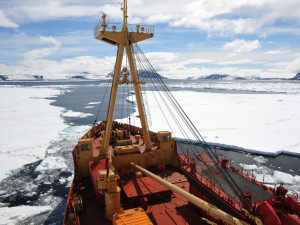 Vědci se v Antarktidě tentokrát zaměří na tučňáky