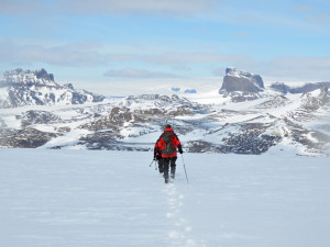 Vědci se v Antarktidě tentokrát zaměří na tučňáky