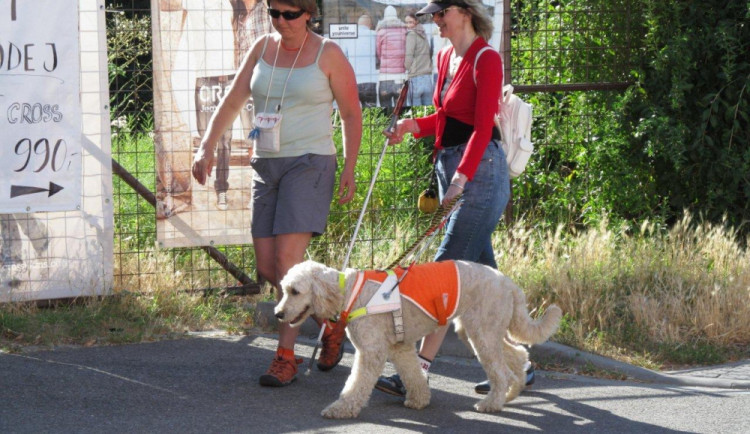 Arwen s paničkou procvičují