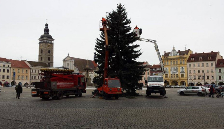 Vánoční strom dosloužil. Majitel dostane jen kmen