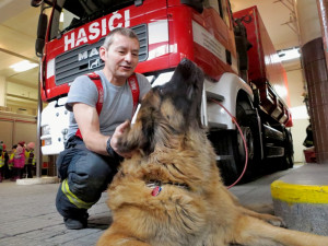 Hasiči přivítali zachráněnou fenku