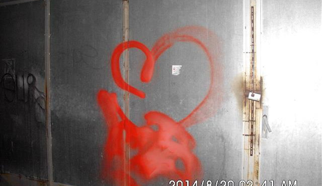 ilustracni-foto, podchod