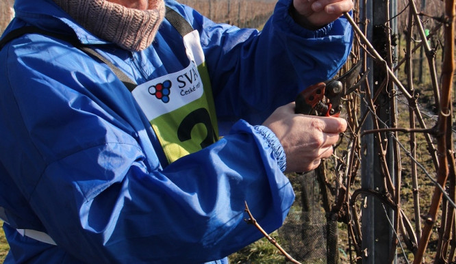 Holcmanová_vítězka žena_menší