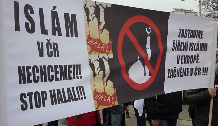 Brneěnská demonstrace