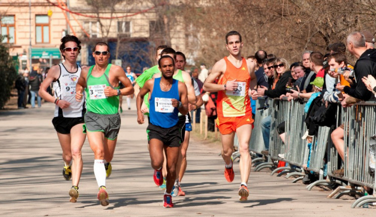 Běh Lužánkami. Foto: Jiří Prýgl