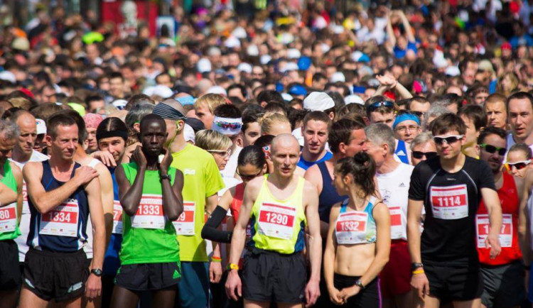 Brněnský půlmaraton