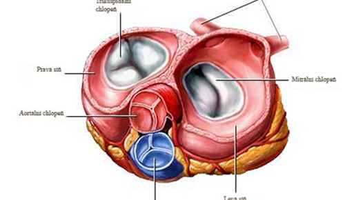 Ilustrační foto, ikem.cz