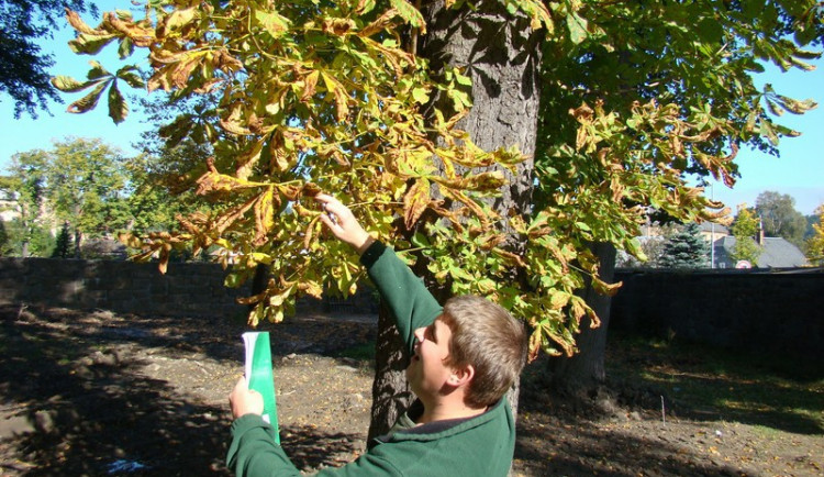 foto: lesnicka-skola.cz