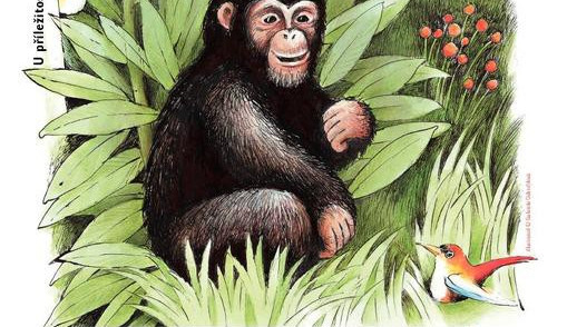 Zvířátka také nekouří