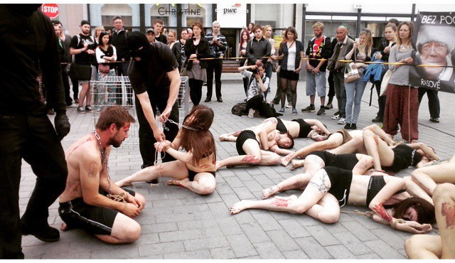 Foto: Laura Zvončeková