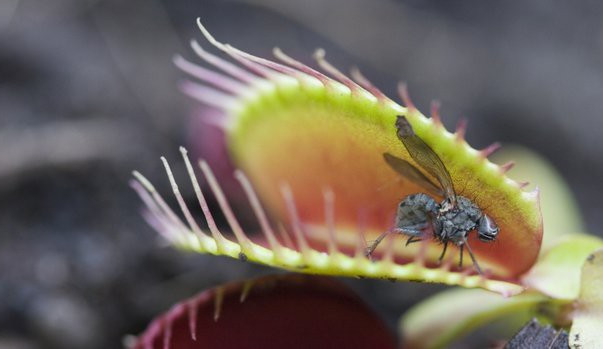 Ilustrační foto, zdroj: iprima.cz