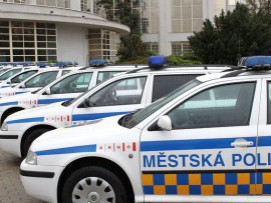 Hlídka dopadla muže, který odcizil téměř čtyřicetimetrový drát