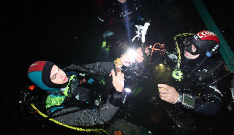 Výlov sektů, foto: vinnysklep.cz