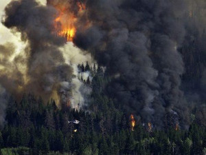 U Vyškova hoří les a pole, na místě je 11 hasičských jednotek